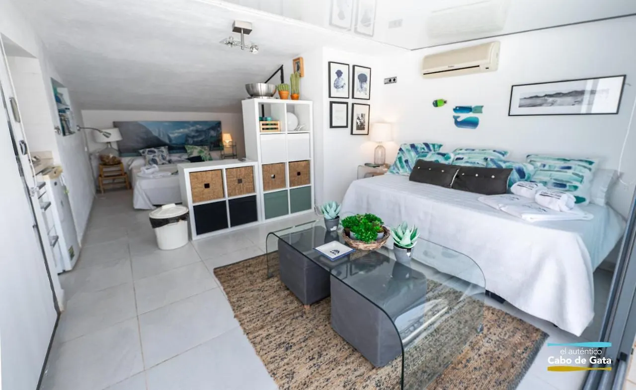 Apartment Suite De San Jose